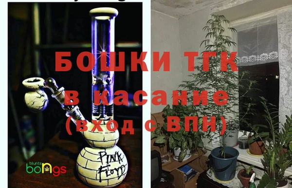 прущие грибы Беломорск