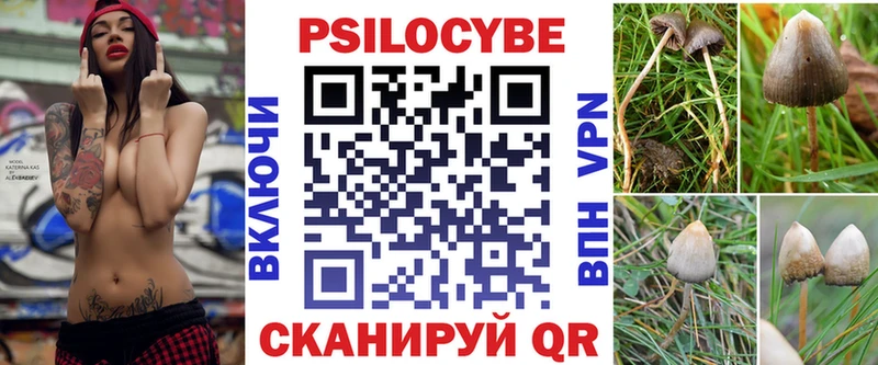 Галлюциногенные грибы Psilocybe  гидра зеркало  Неман 